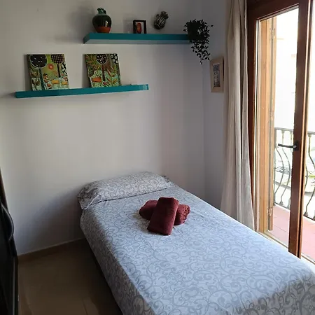 Carabeo Perla